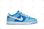 Nike Dunk Low Argon PS
