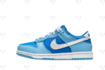 Nike Dunk Low Argon PS