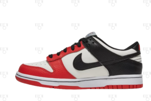 Nike Dunk Low EMB Bulls GS