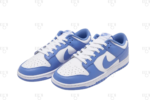Nike Dunk Low Retro Polar